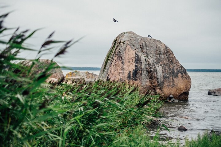 Day Trip to Land of Bays, the Romantic North-Coast from Tallinn - Image 5