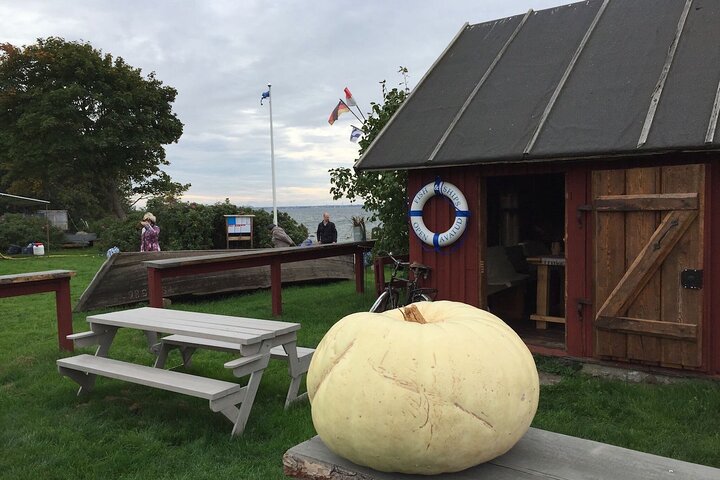 Day Trip to Land of Bays, the Romantic North-Coast from Tallinn - Image 3
