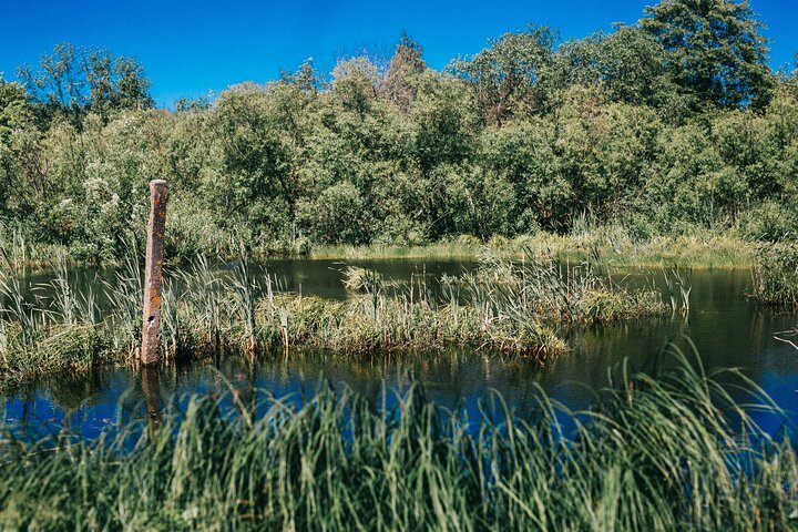 Explore The Hidden Treasure of Paljassaare, Tallinn Private Tour  - Image 4