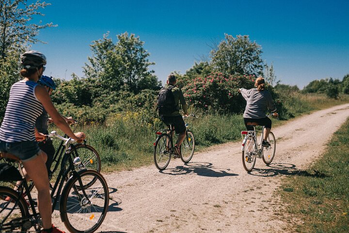 Explore The Hidden Treasure of Paljassaare, Tallinn Private Tour  - Image 1
