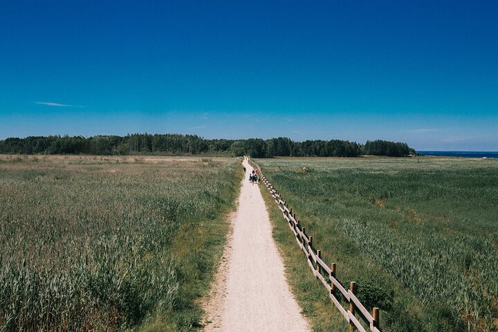 Explore The Hidden Treasure of Paljassaare, Tallinn Private Tour  - Image 5