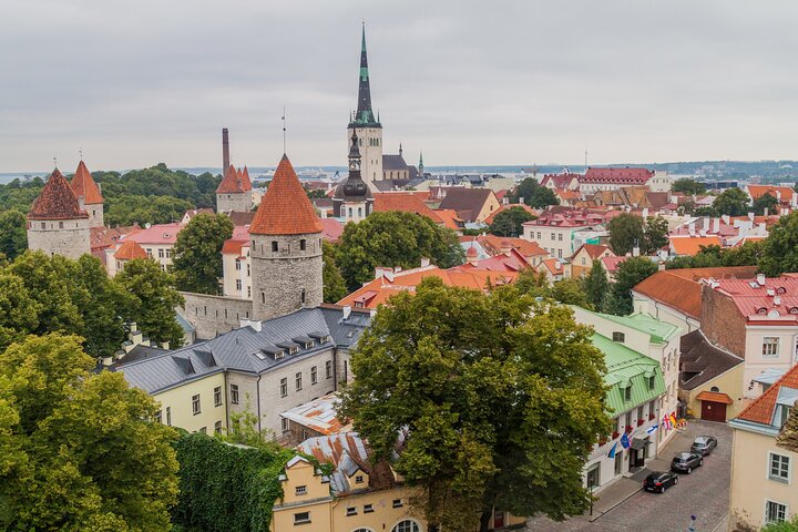 Full Day Private Shore Tour in Tallinn from Tallinn Cruise Port - Image 2