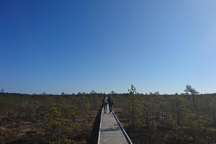 Go North – Private 1 Day Trip to Estonian Nature - Image 2