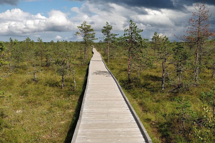 Go North – Private 1 Day Trip to Estonian Nature - Image 5