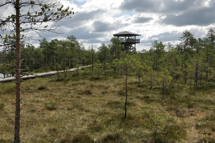 Go North – Private 1 Day Trip to Estonian Nature - Image 4