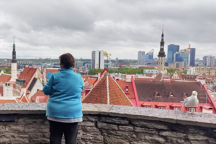Half-Day Private Driving and Walking Tour in Tallinn - Image 2