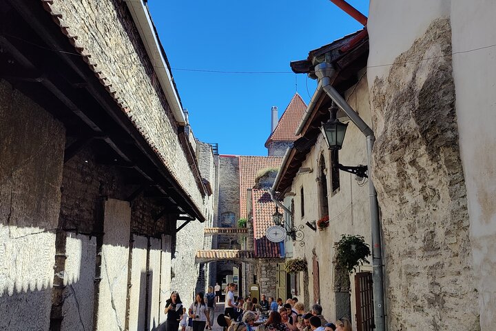 Half-Day Private Driving and Walking Tour in Tallinn - Image 4