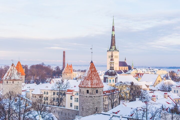 Half-Day Private Guided Sightseeing Tour of Tallinn - Image 1