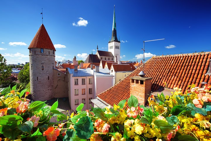 Old and Nowaday Tallinn Driving and Little Walking Private Tour - Image 5
