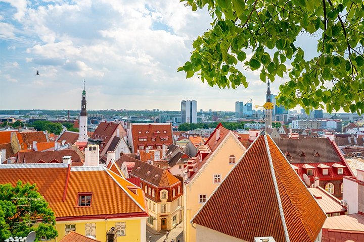 Old Tallinn with Kadriorg & Pirita - Image 5