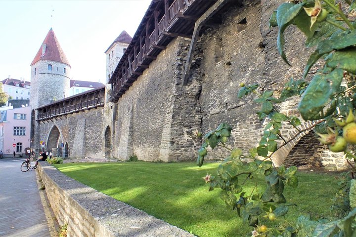 Private 2.5-Hour Tour of Tallinn Old Town in a Spacious Mercedes Minivan - Image 2