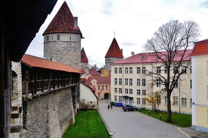 Private Shore Excursion: Highlights of Tallinn with Kadriorg and Pirita - Image 1