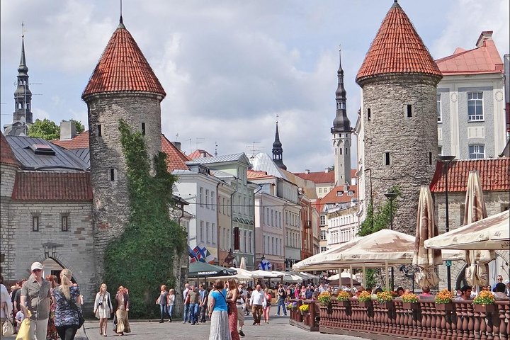 Private Shore Excursion: Highlights of Tallinn with Kadriorg and Pirita - Image 3