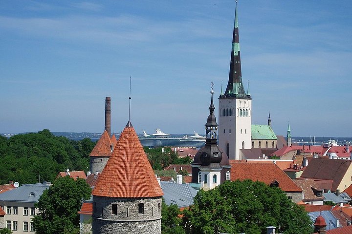 Private Shore Excursion: Walking Tour of Tallinn's old town - Image 5