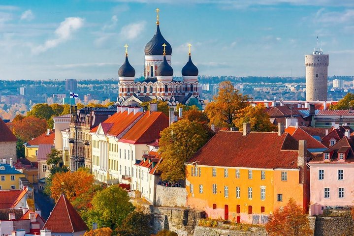 Private Shore Excursion: Walking Tour of Tallinn's old town - Image 3