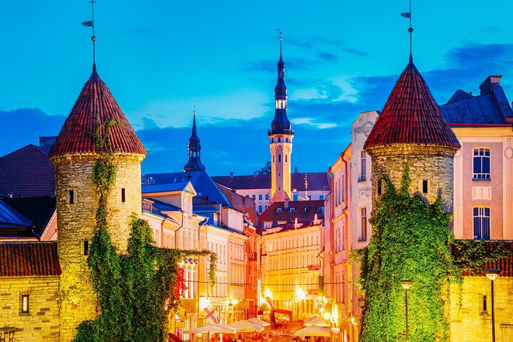 Private sightseeing tour in Tallinn by VIP car - Image 4