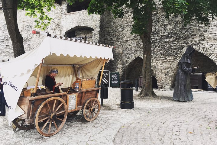 Tallinn Day Tour from Helsinki  - Image 4