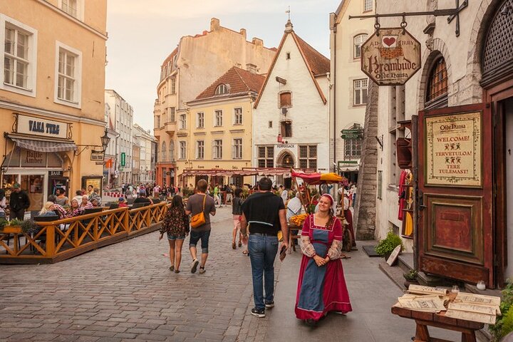 Tallinn Day Tour from Helsinki  - Image 5