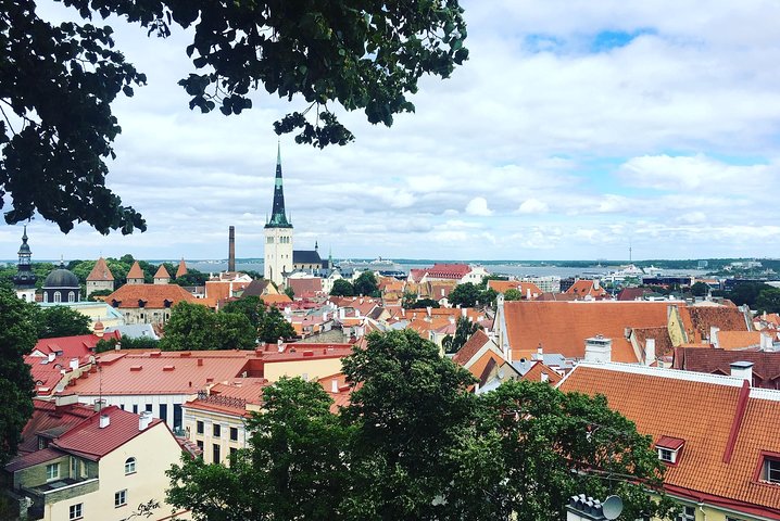 Tallinn Day Tour from Helsinki  - Image 3