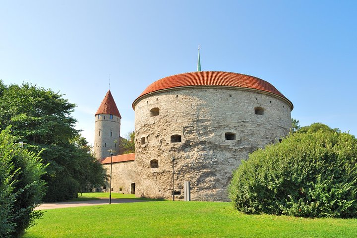Tallinn Highlights and Marzipan Painting Masterclass - Image 4