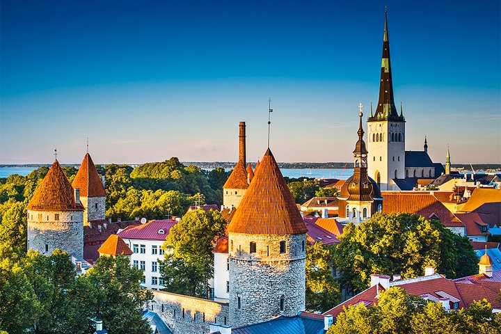 Tallinn Highlights and Marzipan Painting Masterclass - Image 5