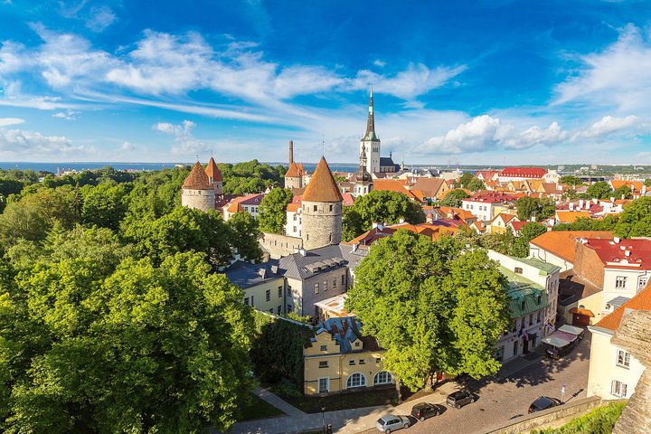 Tallinn Highlights and Marzipan Painting Masterclass - Image 2