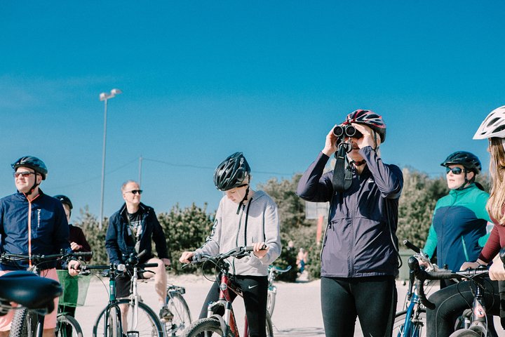 Tallinn Private Bike Tour - Image 4
