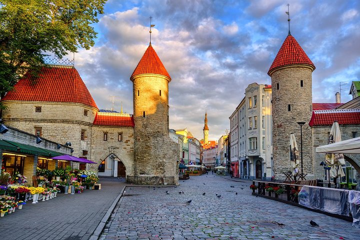 Tallinn Shore Excursion: Tallinn Sightseeing Tour by Coach and Foot - Image 3