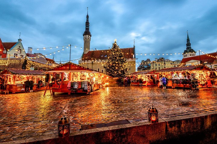 Tallinn Shore Excursion: Tallinn Sightseeing Tour by Coach and Foot - Image 2