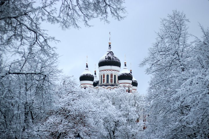 Tallinn Top Attractions and Viimsi Open Air Museum - Image 2