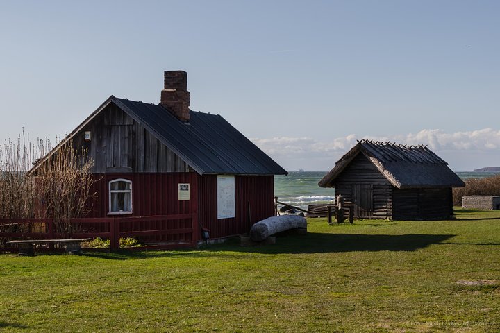 Tallinn Top Attractions and Viimsi Open Air Museum - Image 5