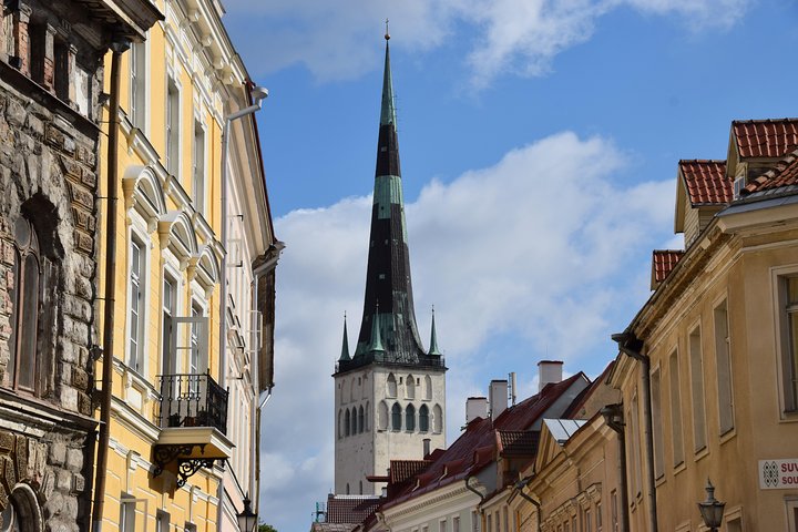 Tallinn Top Attractions and Viimsi Open Air Museum - Image 3