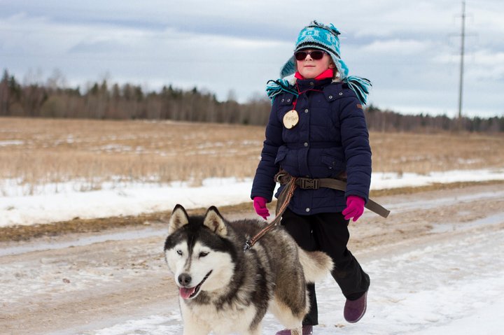 Tour to Husky Park with Cani-Cross Hike - Image 4