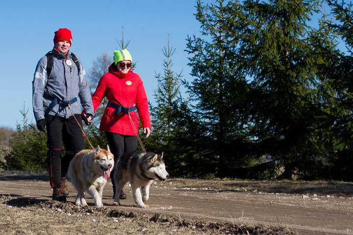 Tour to Husky Park with Cani-Cross Hike - Image 2