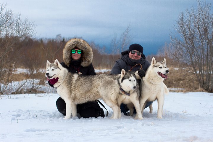 Tour to Husky Park with Cani-Cross Hike - Image 5
