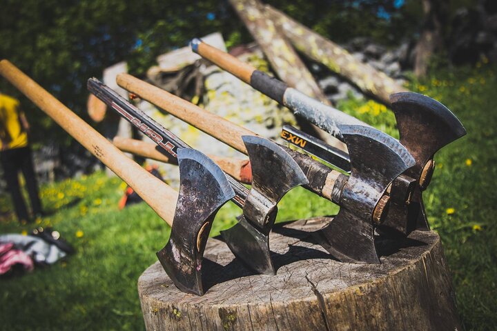 True Viking day - Image 2