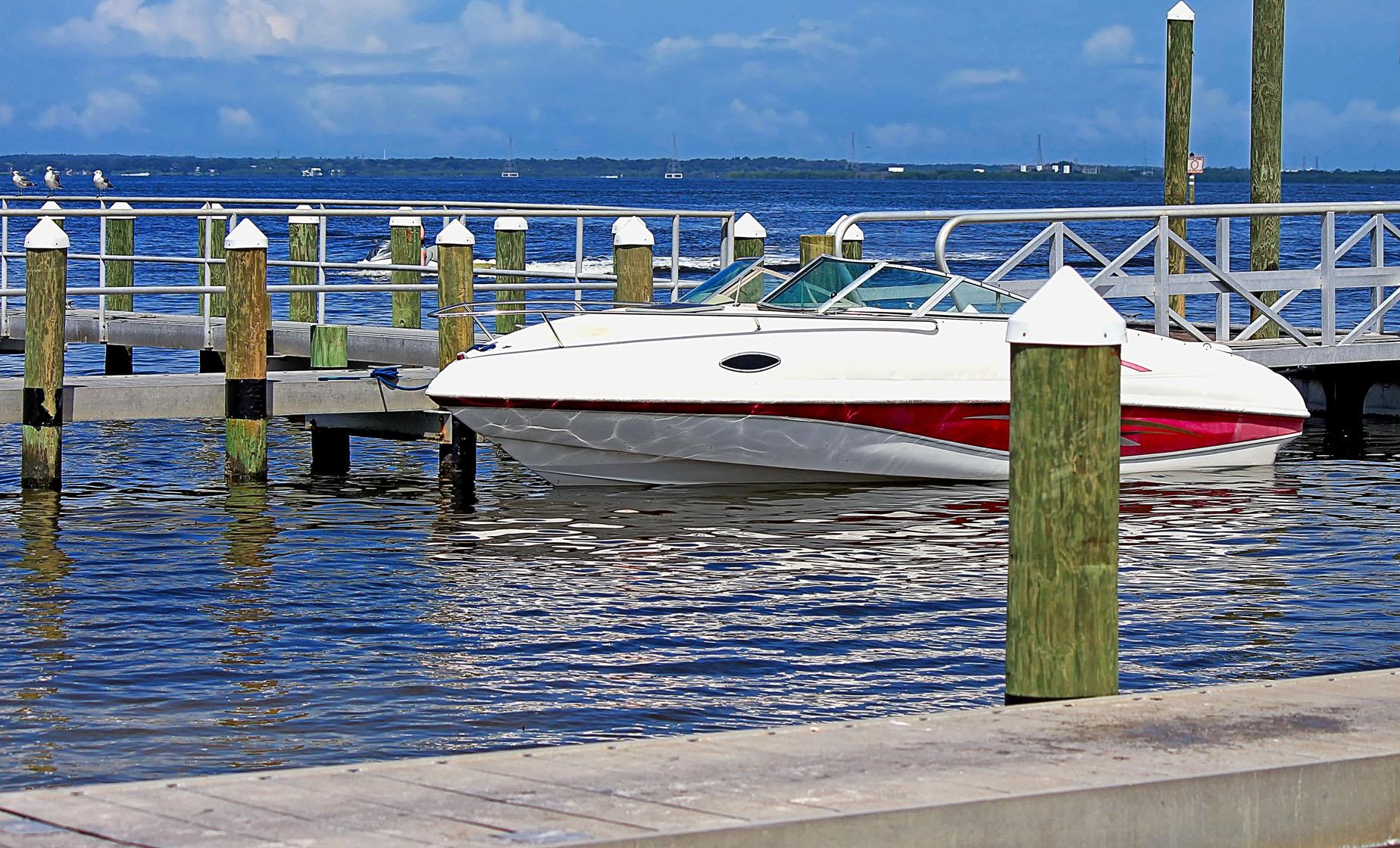 Private Tampa Speedboat Adventure - Image 1