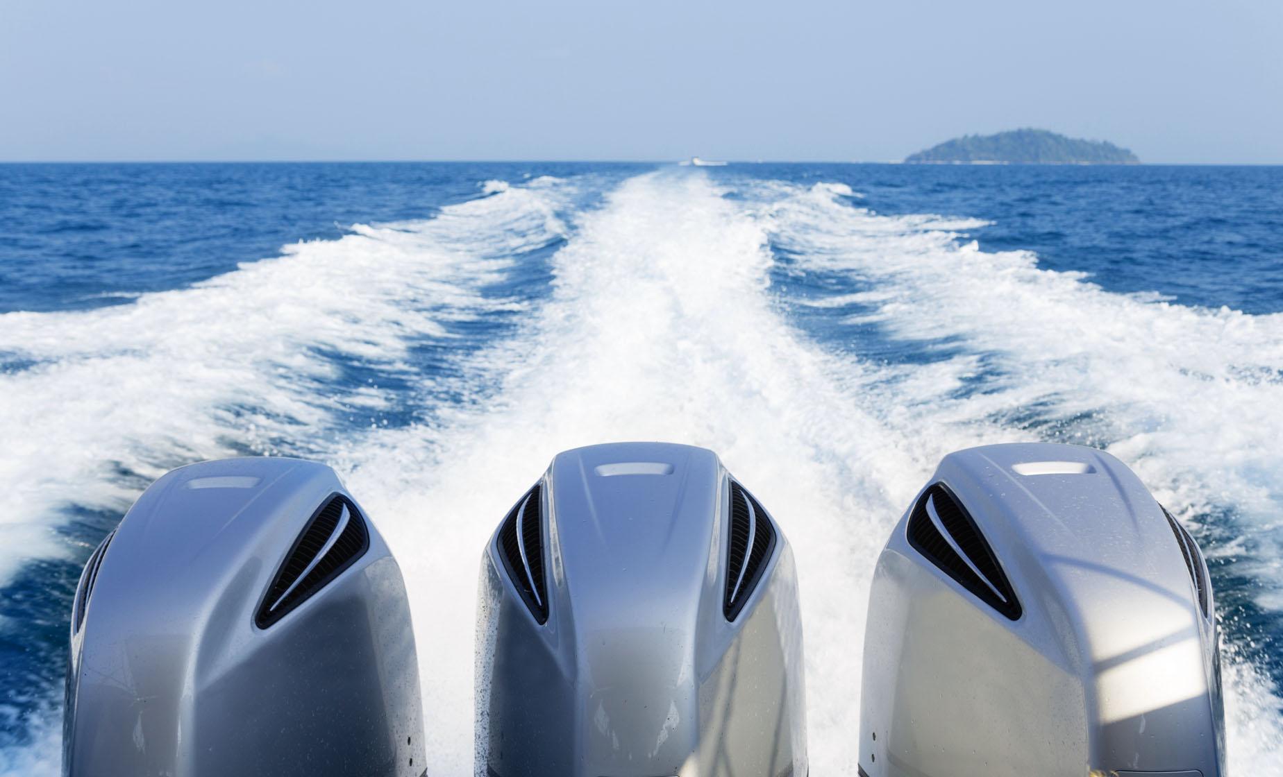 Speedboat and Dolphin Surfing Adventure - Image 1
