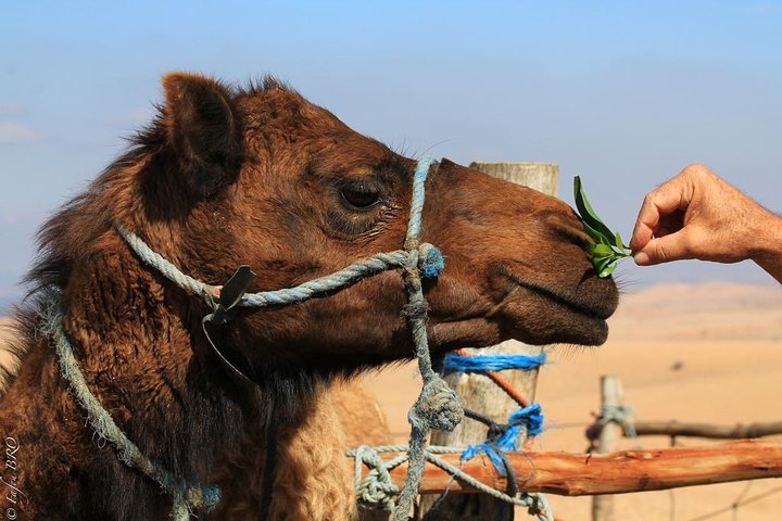 15-Days Private Tour Highlights of Morocco from Tangier - Image 1