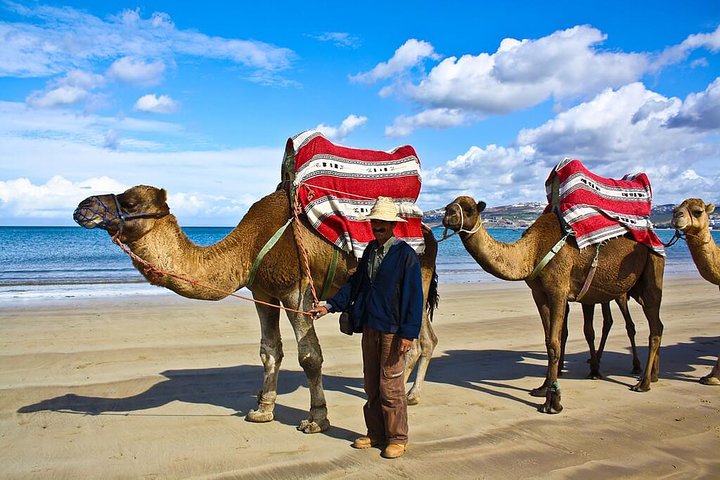 3 Hours Tangier Sightseeing and camel trek - Image 4