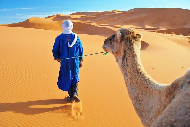 3 Hours Tangier Sightseeing and camel trek - Image 1