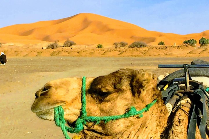 5 Days tours from Tangier to Chefchaouen, Fez, Merzouga Desert and Marrakech - Image 1