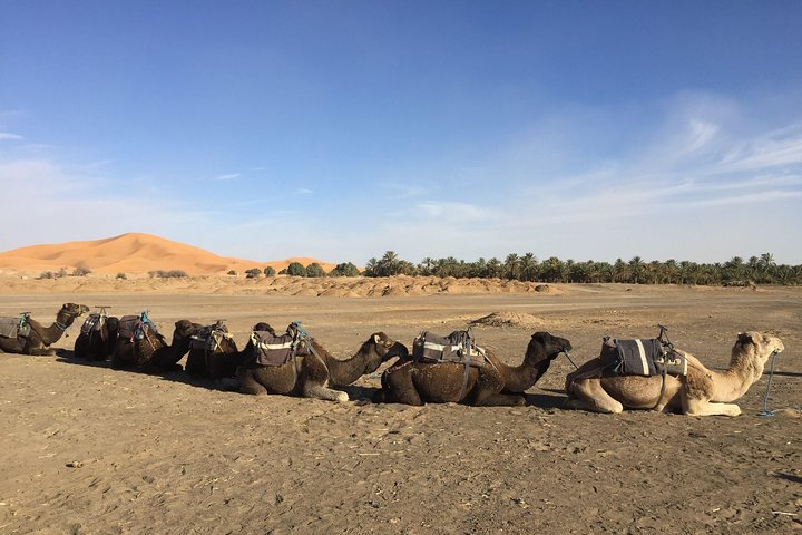 5 Days tours from Tangier to Chefchaouen, Fez, Merzouga Desert and Marrakech - Image 5