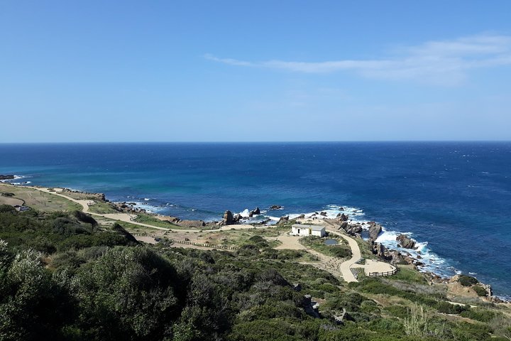 5 hours VIP tour of Tangier  - Image 3