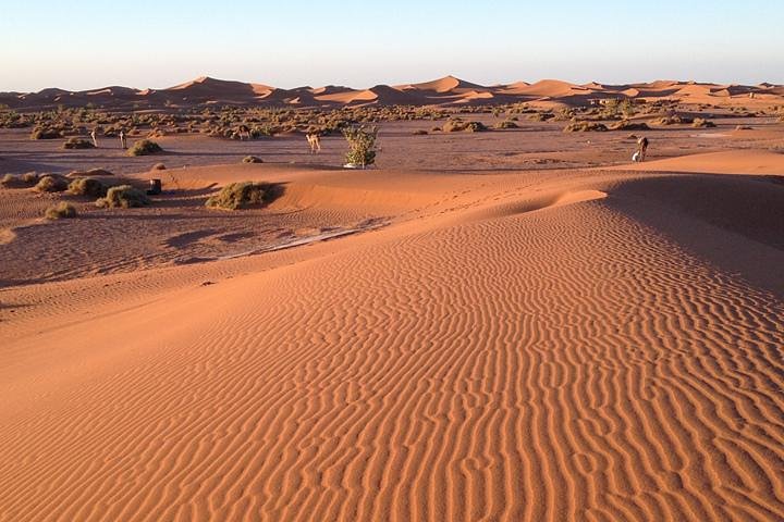 7 days Morocco tour from Tangier to Marrakech via sahara desert - Image 3