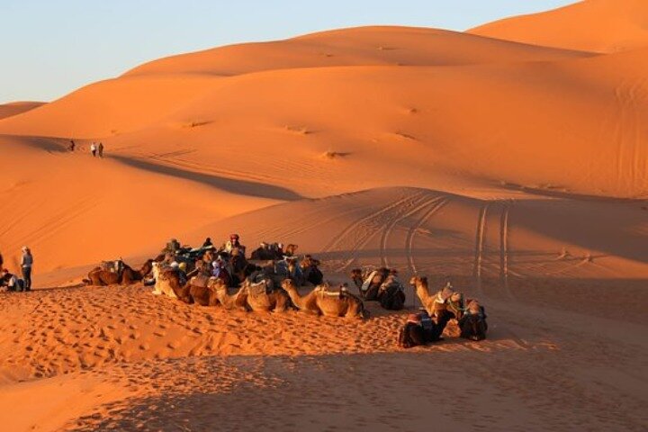 Camel ride in Tanger