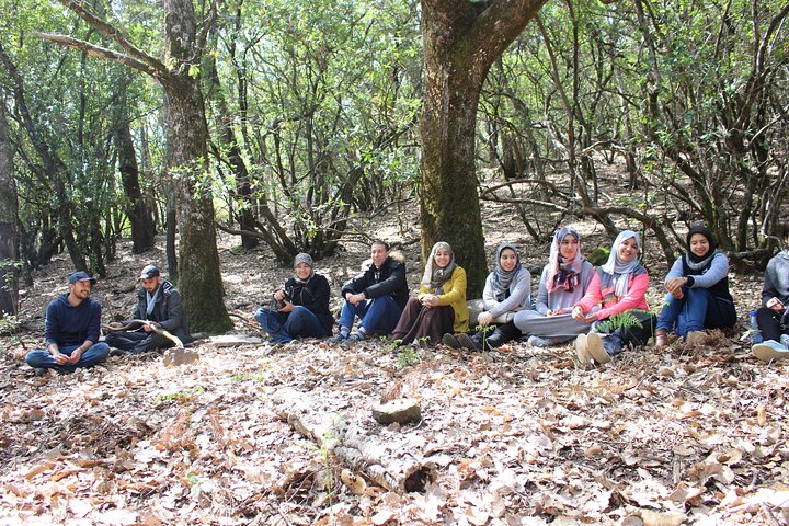Day trip to Bouhachem Natural Park - Image 4