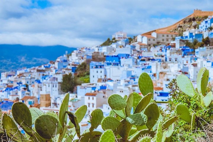 Day trip to Chefchaouen and Akchor water falls - Image 1