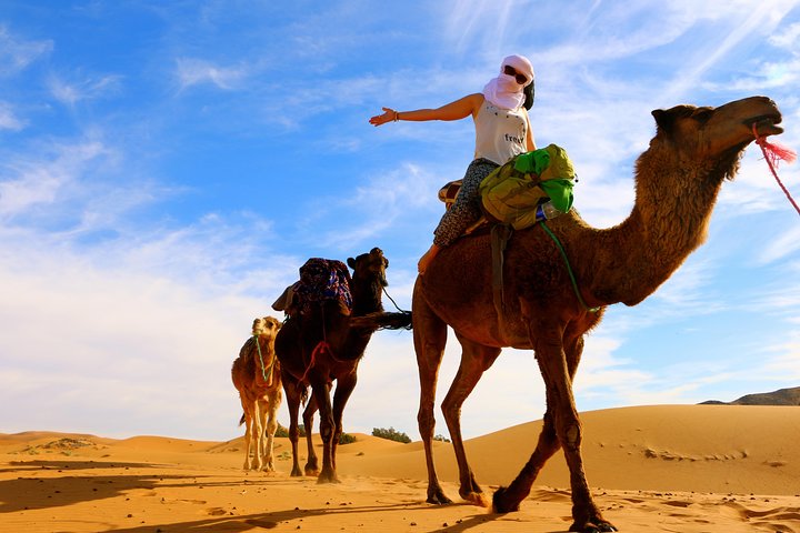 From Tangier to Marrakech: 10 Days Private Tour "The Best of Morocco" - Image 2