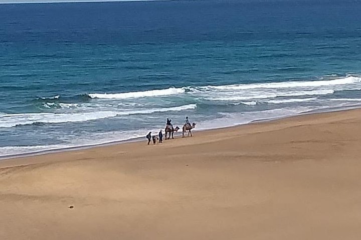 Full Day Excursion To Asilah&Tangier - Image 1
